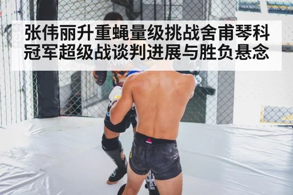 张伟丽升重蝇量级挑战舍甫琴科 冠军超级战谈判进展与胜负悬念